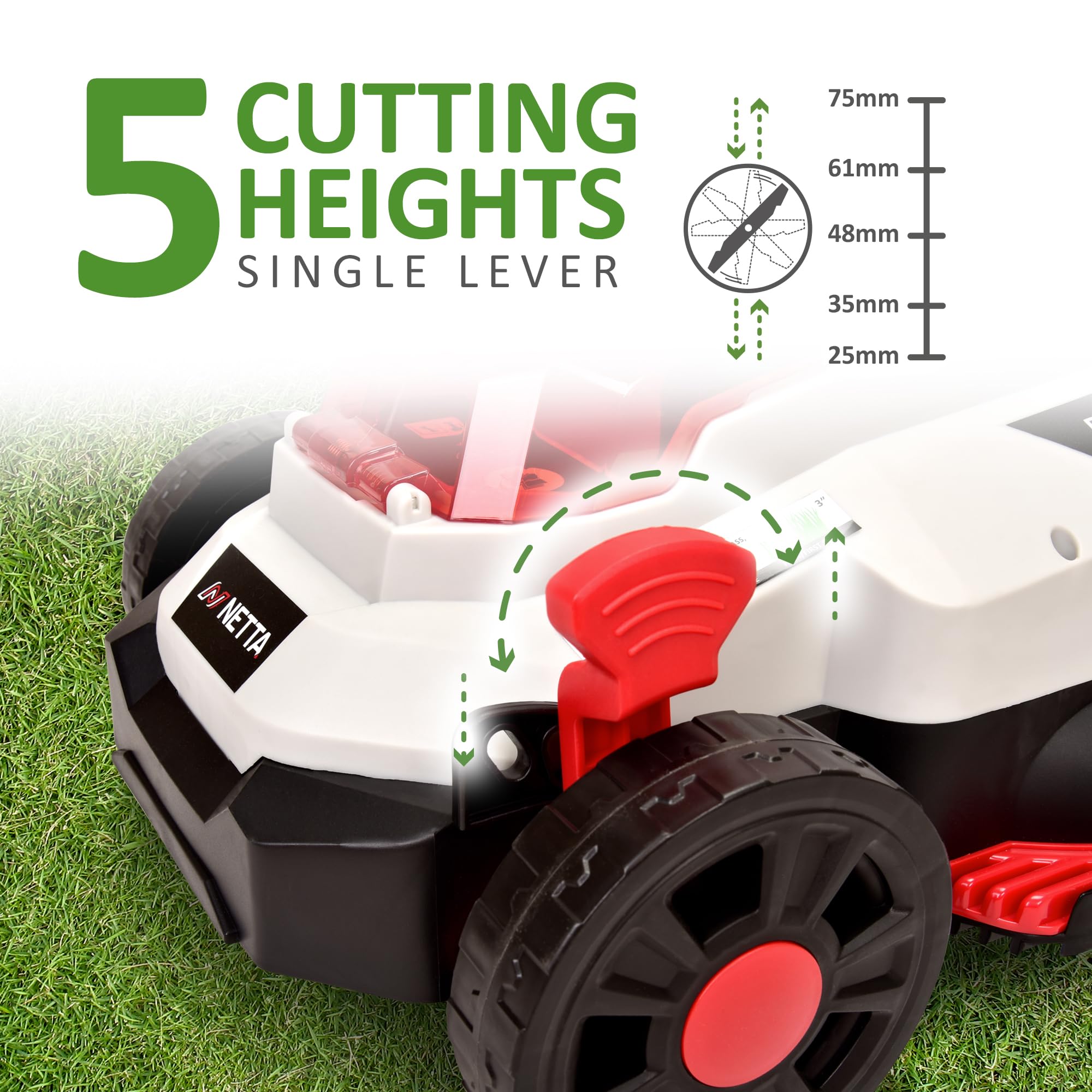 NETTA Cordless Lawnmower 20V - Brushless Motor Lawn Mower with 4.0Ah Battery & Charger - 33cm Width, 5 Heights, Mini Lawn Mower for Small Garden - Battery Operated Lawnmower - 30L Box